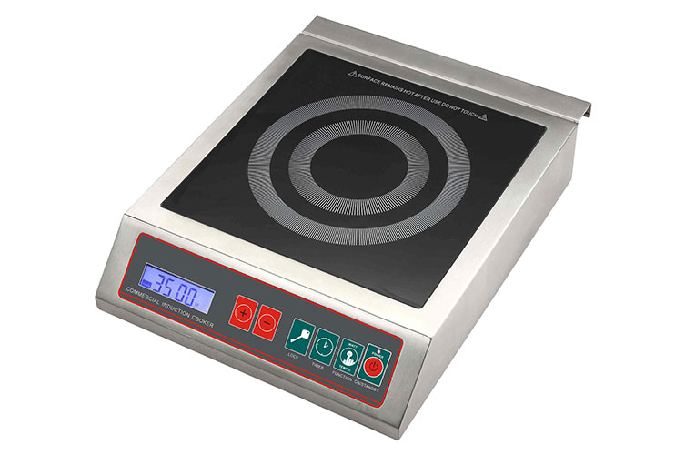 forno microonde professionale